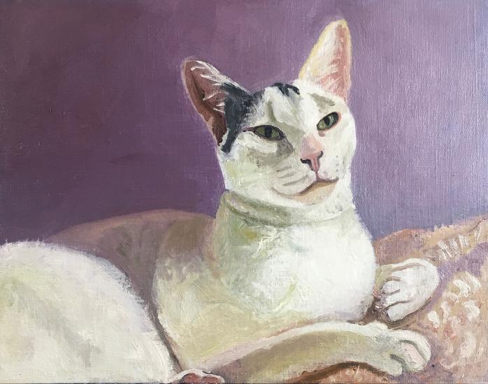 white cat with purple background
