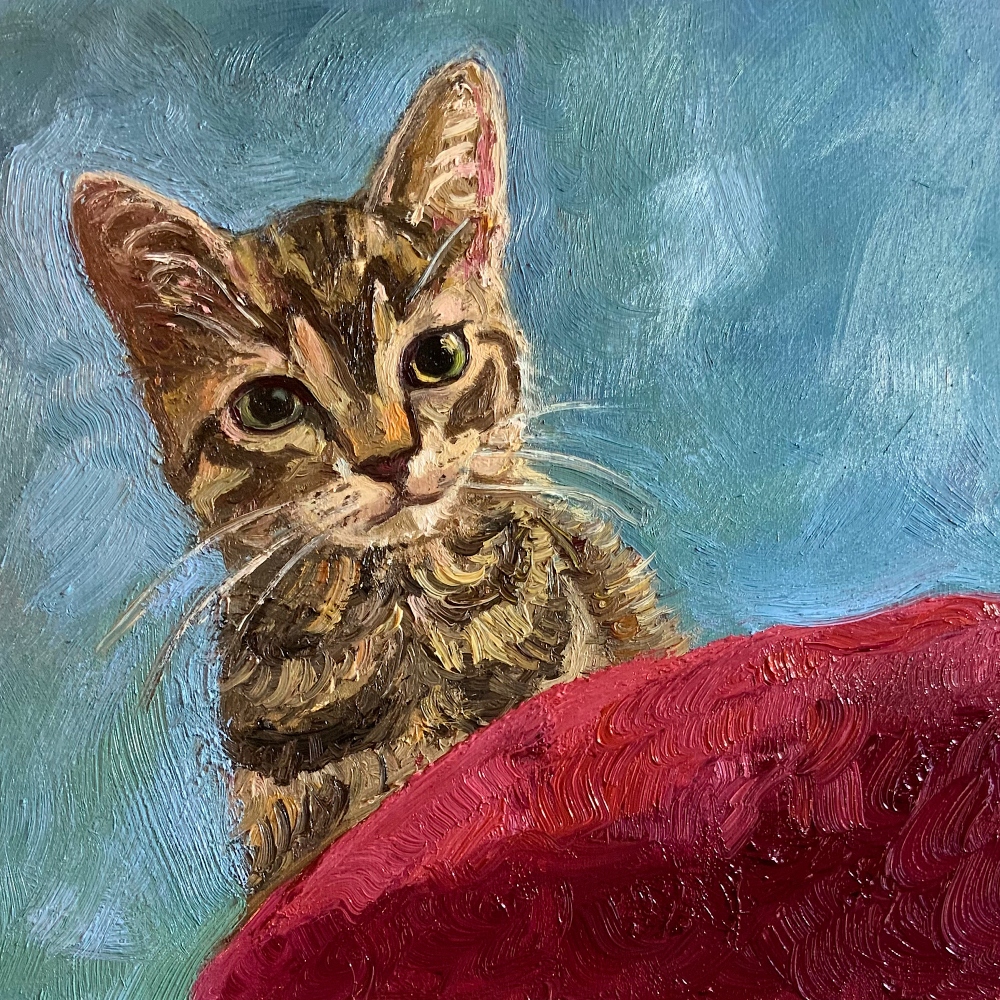 Kitten with red pillow