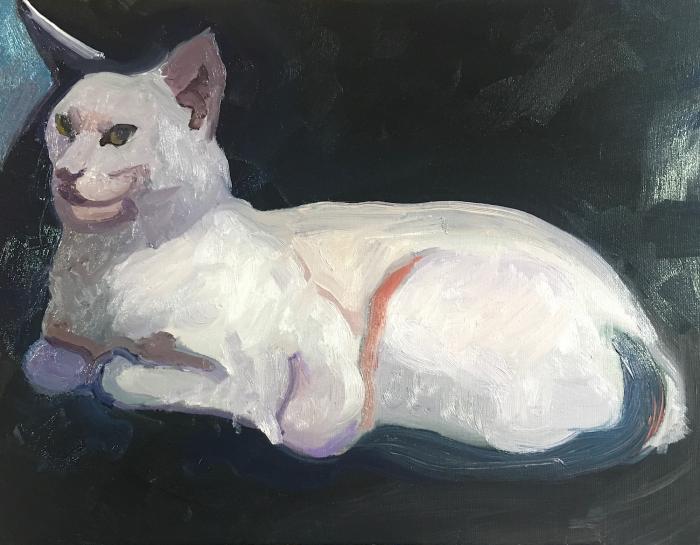 white cat