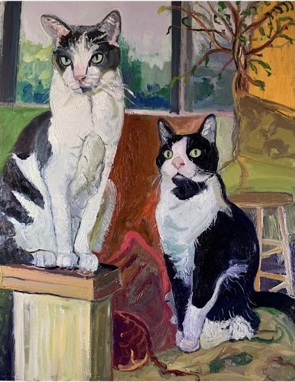 two black and white cats